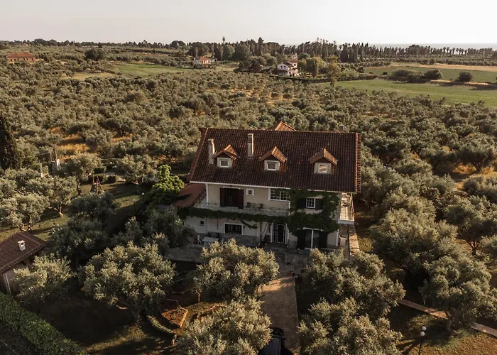 Villa Georgina B&B