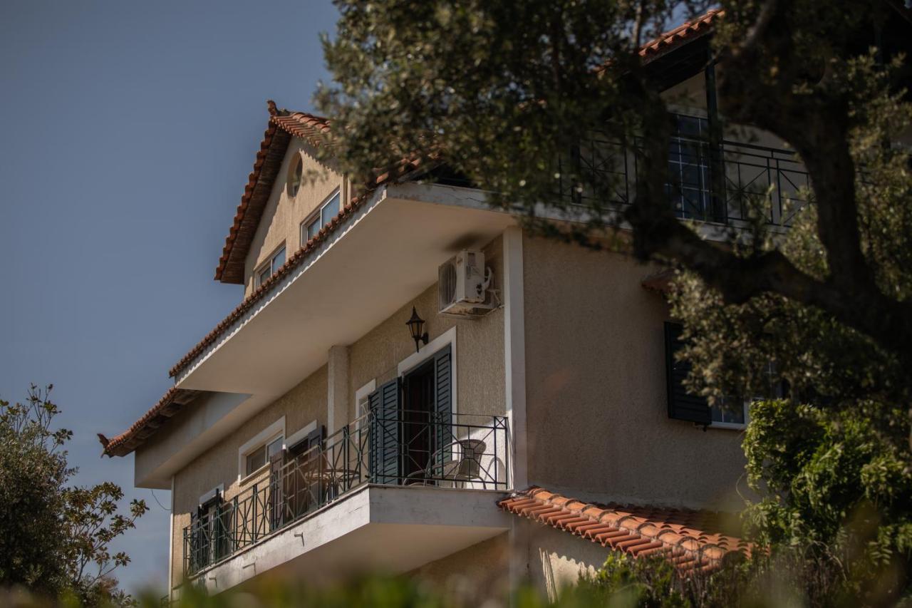 Georgina Πανσιόν 4*